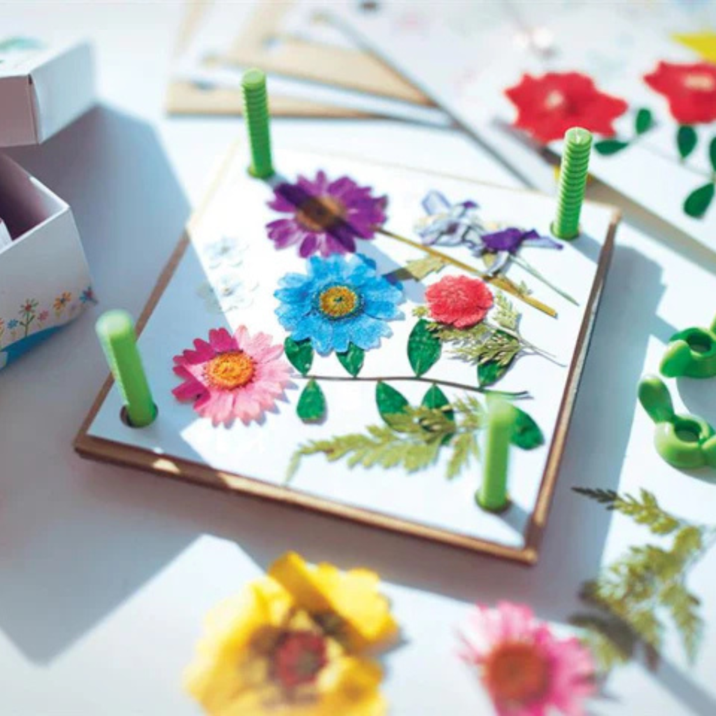 4M – Educatief Speelgoed - Studio Play