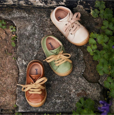 Petit Nord - Studio Play