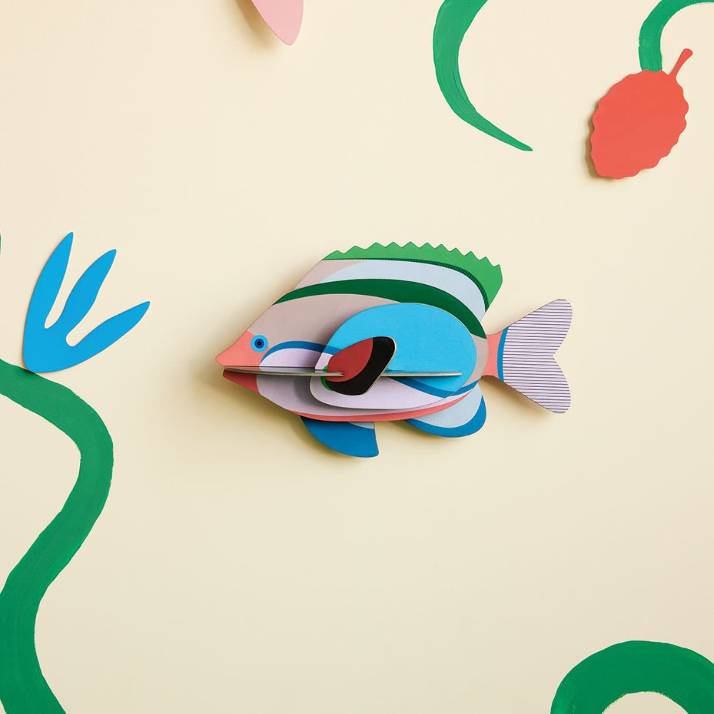 Studio Roof - Studio Play