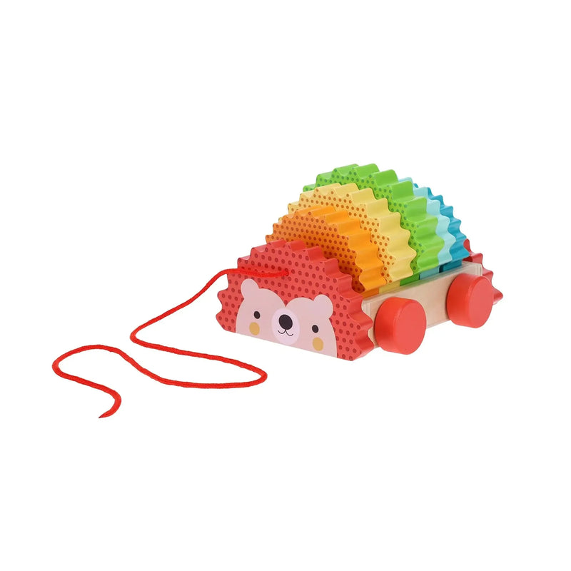 Petit Collage Trekdier Regenboog Egel