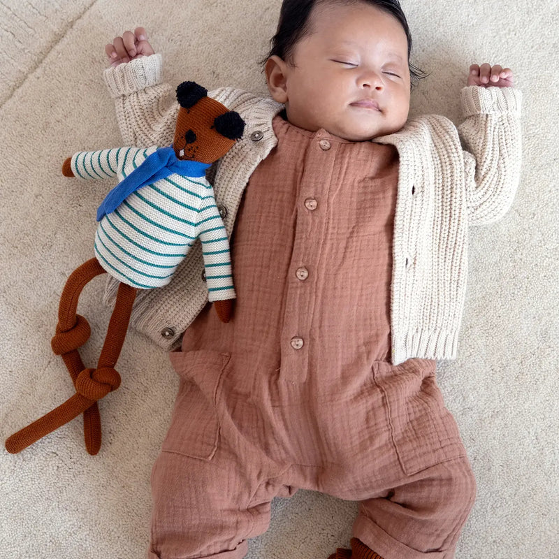 Sophie Home Ragdoll Hond