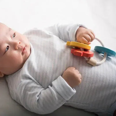 Plantoys Rammelaar Sleutels