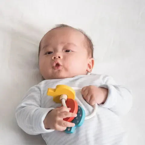 Plantoys Rammelaar Sleutels