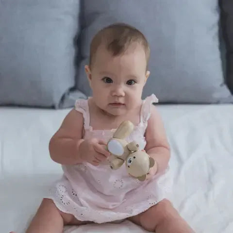 Plantoys Bijtspeeltje Beertje