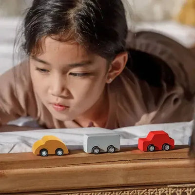 Plantoys Mini Auto's Set