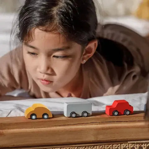 Plantoys Mini Auto&