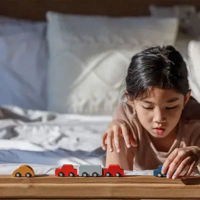 Plantoys Mini Auto's Set