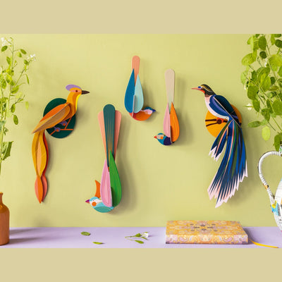 Studio Roof Paradise Bird Oahu