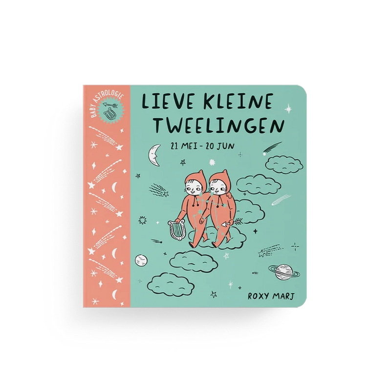 Boek: Lieve Kleine Tweelingen