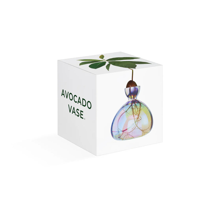 Ilex Studio Avocado Vase Astra