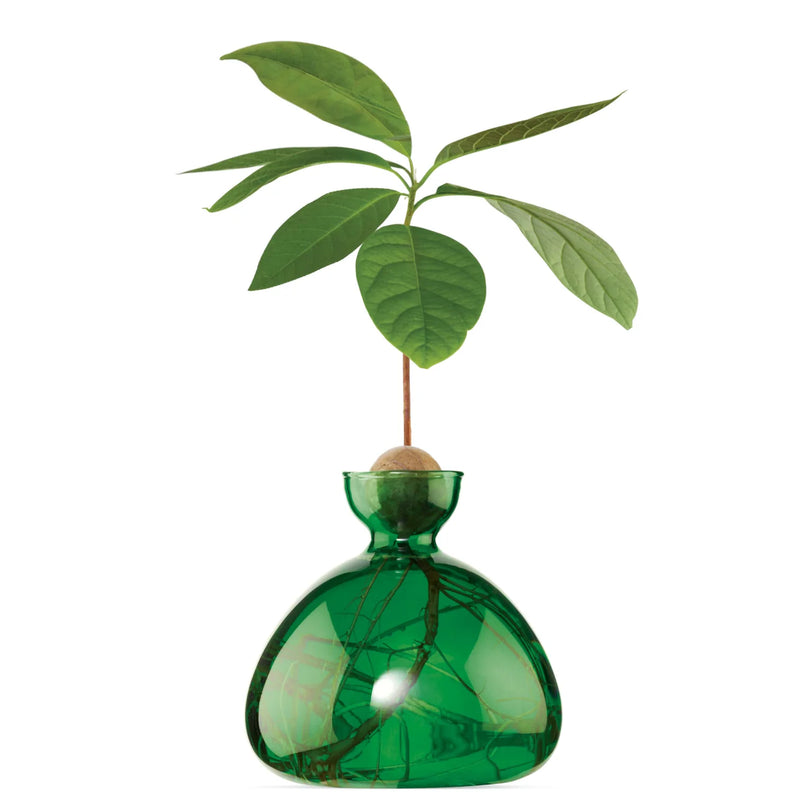Ilex Studio Avocado Vase Emerald Green