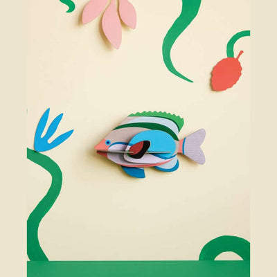 Studio Roof Fairy Wrasse