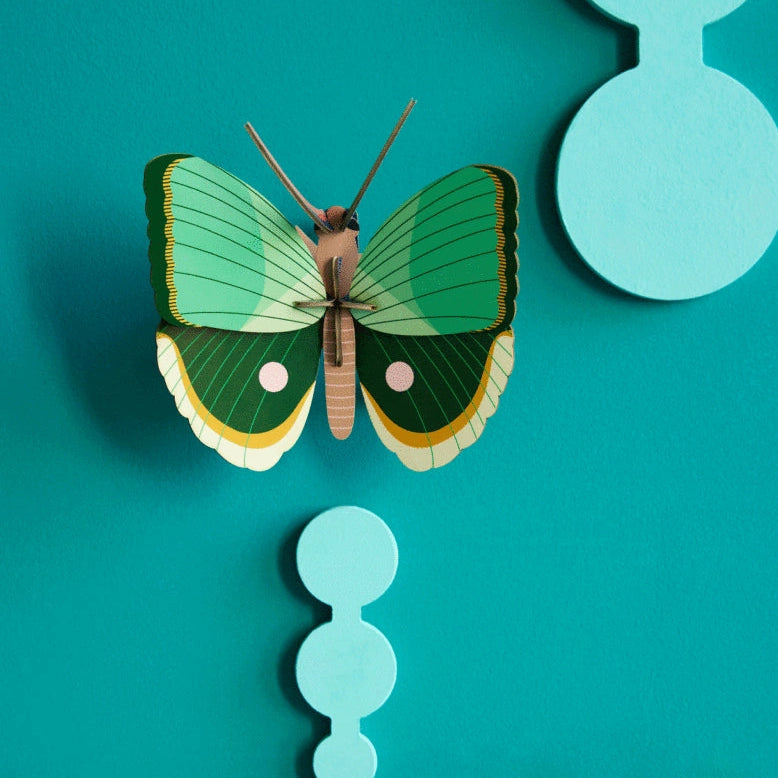 Studio Roof Fern Striped Butterfly