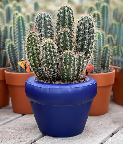Home Studyo Planter Pierre Indigo Matt