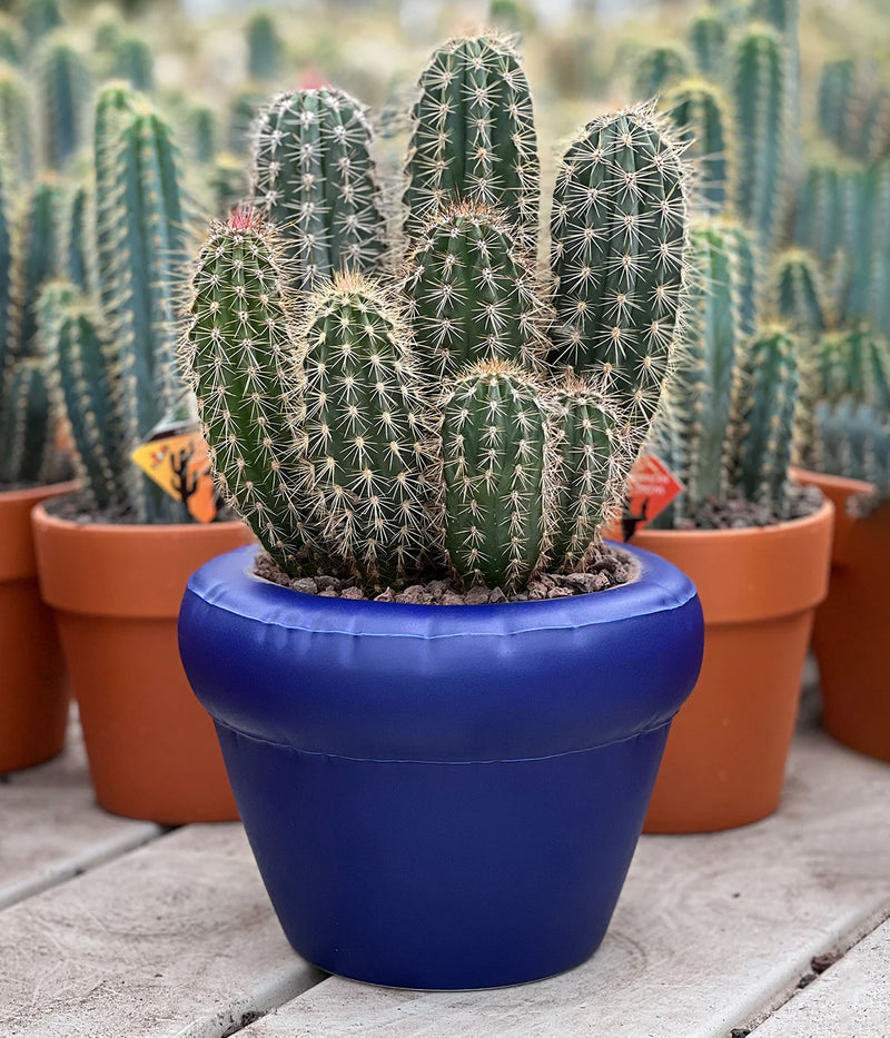 Home Studyo Planter Pierre Indigo Matt