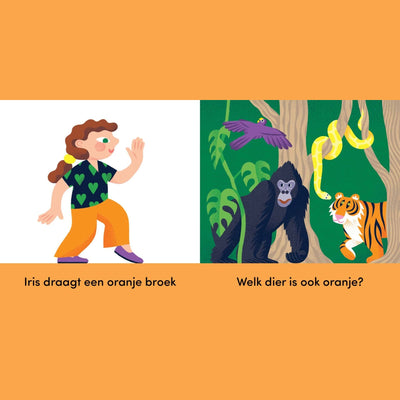 Boek: Ik Zie, Ik Zie Kleur