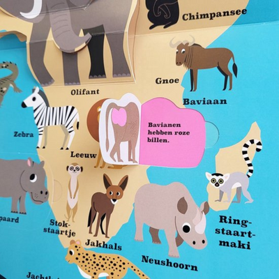De Dierenatlas - Pop Up Boekje