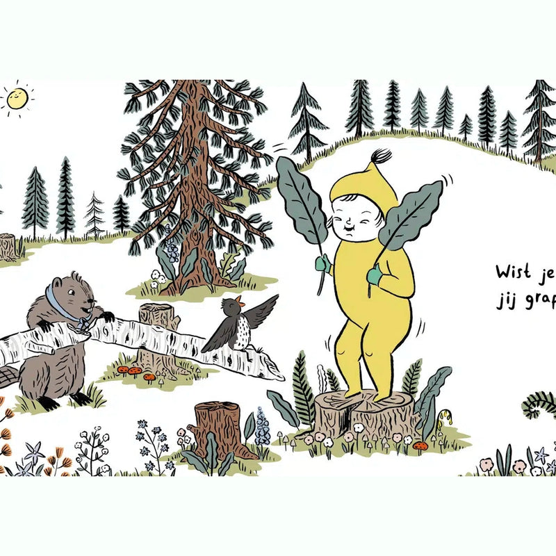 Boek: Lieve Kleine Leeuw