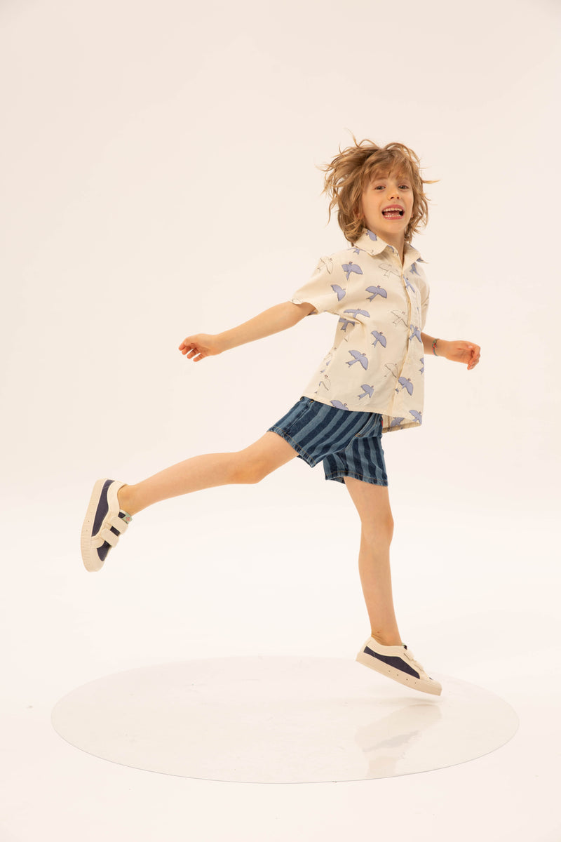 Wander & Wonder Striped Denim Shorts