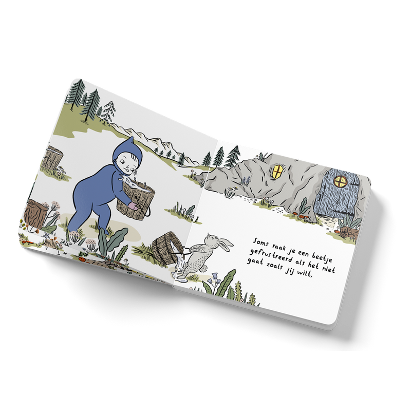 Boek: Lieve Kleine Maagd