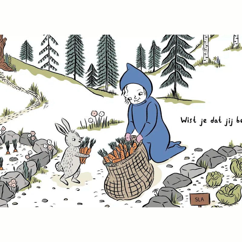 Boek: Lieve Kleine Maagd