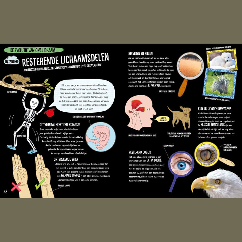 Boek: Voor Knappe Koppen - Lichaam En Brein