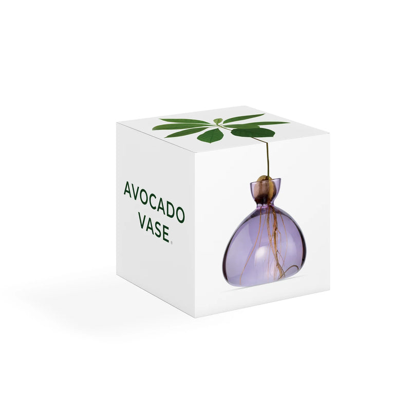 Ilex Studio Avocado Vase Lilac