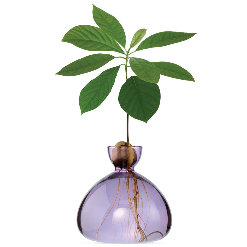 Ilex Studio Avocado Vase Lilac