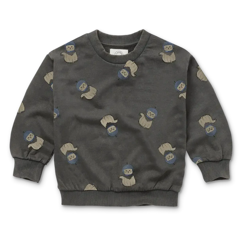 Sproet & Sprout Sweatshirt Space Cat Print