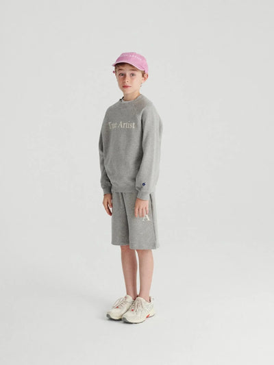 True Artist Sweatshirt n01 Melange Gray