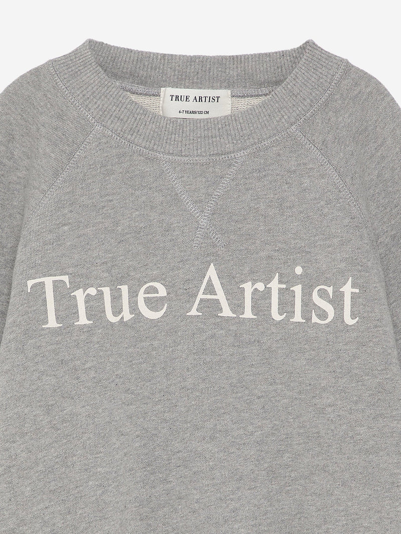 True Artist Sweatshirt n01 Melange Gray
