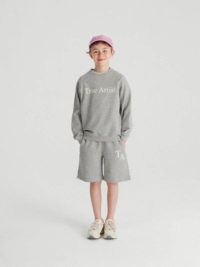 True Artist Sweatshirt n01 Melange Gray