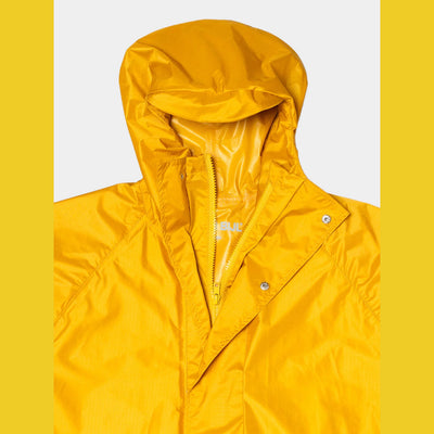 Susan Bijl The New Raincoat Lino