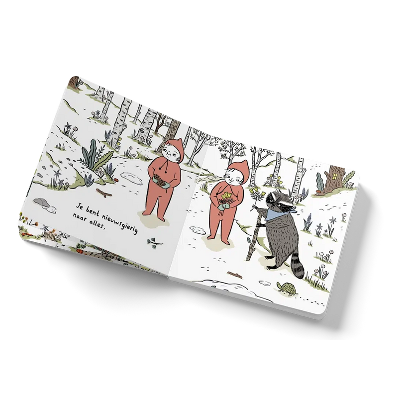 Boek: Lieve Kleine Tweelingen