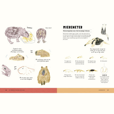 Boek: Zo Teken Je (bijna) Elk Dier