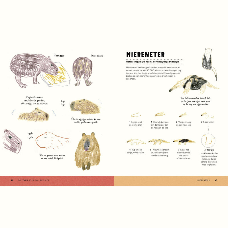 Boek: Zo Teken Je (bijna) Elk Dier