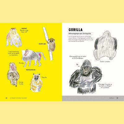 Boek: Zo Teken Je (bijna) Elk Dier