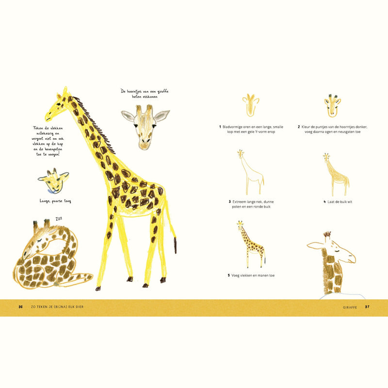 Boek: Zo Teken Je (bijna) Elk Dier