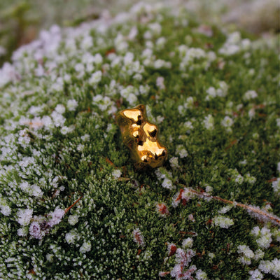 Aesthetic Studios Goldbear Pin Gold