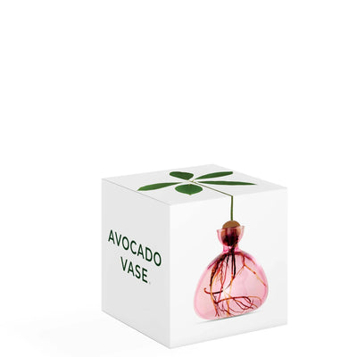 Ilex Studio Avocado Vase Rose Pink