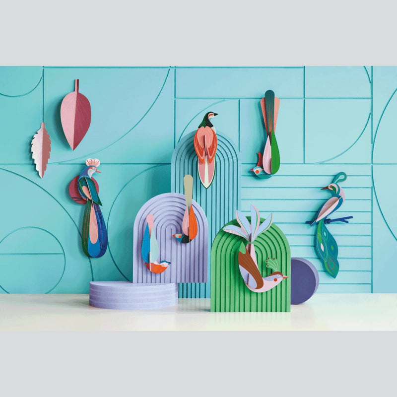 Studio Roof Paradise Bird, Banda