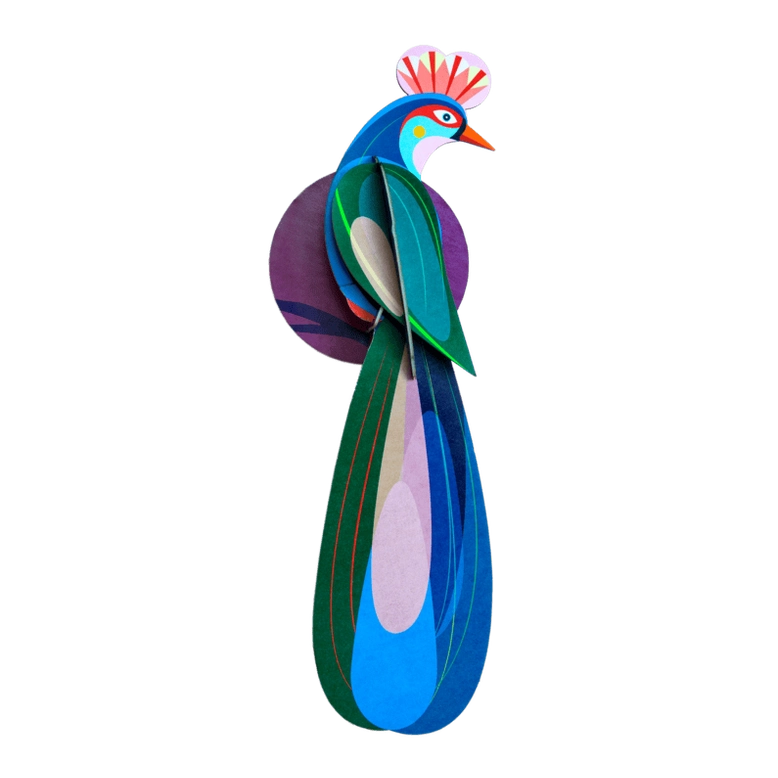 Studio Roof Paradise Bird, Banda