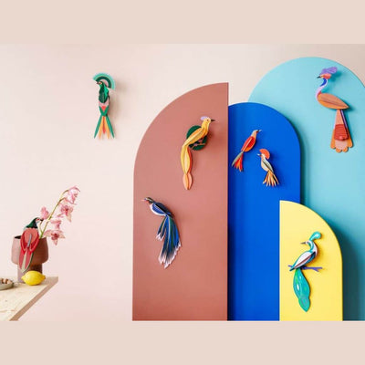 Studio Roof Paradise Bird, Fiji