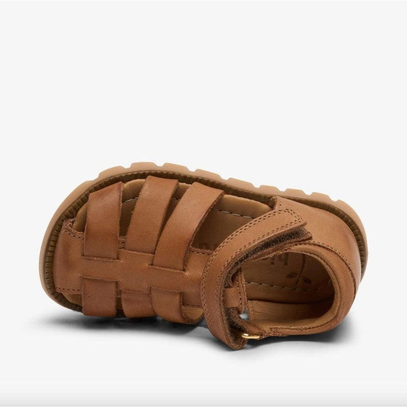 Bisgaard Beka Cognac - Studio Play