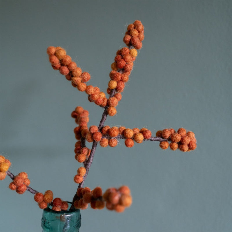 Sjaal Met Verhaal Bloem Tak Bes Ilex Oranje