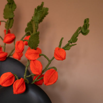 Sjaal Met Verhaal Bloem Tak Physalis Lampion