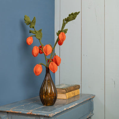 Sjaal Met Verhaal Bloem Tak Physalis Lampion