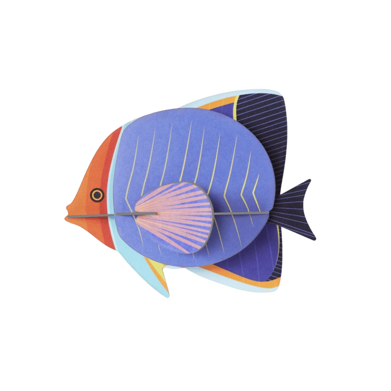 Studio Roof Butterflyfish