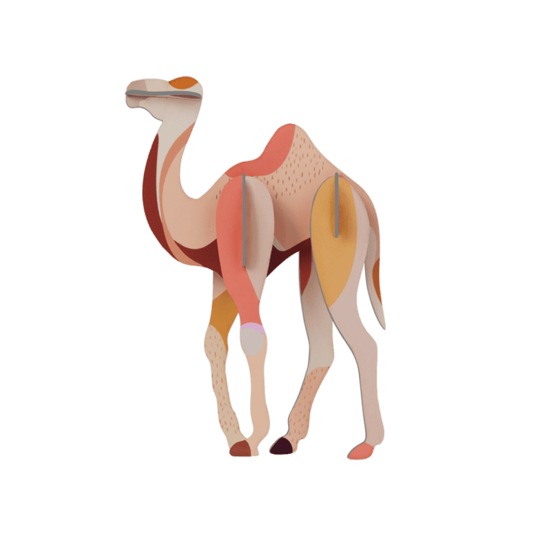 Studio Roof Red Camel