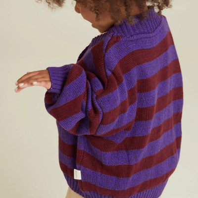 Claude & Co BABY Eben Purple Stripe Cardigan